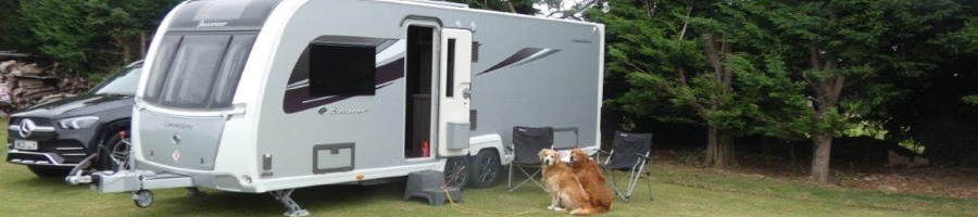 Caravan with dogs